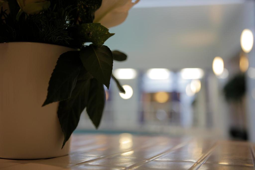 The Red Lea Hotel スカーバラ エクステリア 写真